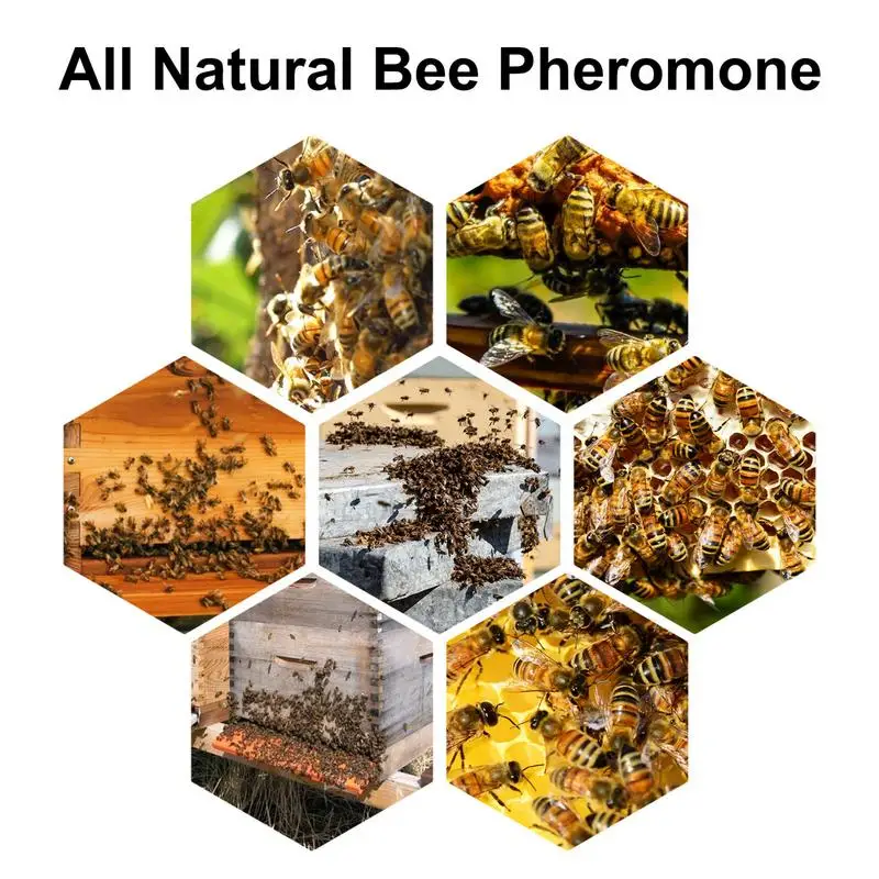 60 Мл Bee Стръв Swarm Commander, Стръв, Примамка за Пчелните клетки, Инструменти за Стръв, Аттрактант за Пчеларството, Роевая Капан за Пчели, Определени за Пчеларя
