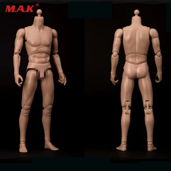 AT011 1/6, Тесни рамене, на Мъжкото тяло, мускулесто Мъжко тяло, Версия. За скулптура на главата на човек 1/6 в наличност